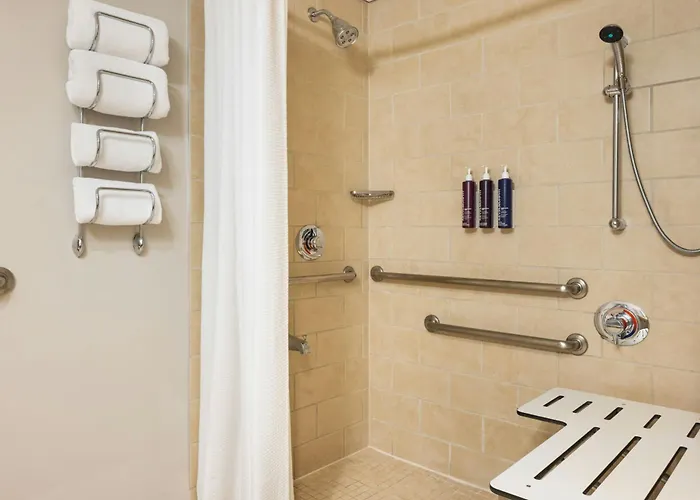 Renaissance Downtown Hotel 4*