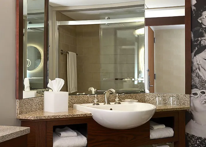 Hotel Renaissance Downtown 4*
